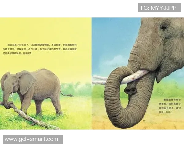 足球明星与他们心爱的动物们的故事揭秘