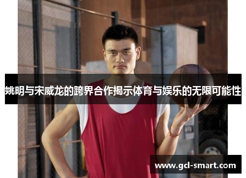 姚明与宋威龙的跨界合作揭示体育与娱乐的无限可能性